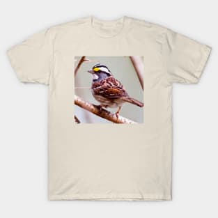 White Throated Sparrow T-Shirt